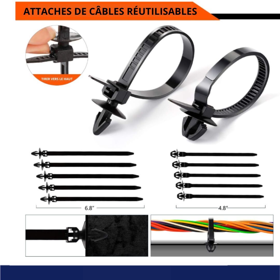 Pack d'agraphe 620pcs